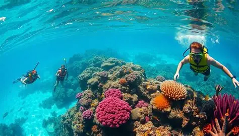 Pigeon Island Reef Snorkeling (Trincomalee)